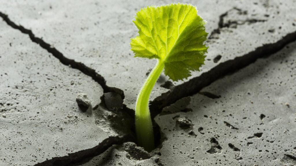 Stresspräventions-und Resilienztrainings